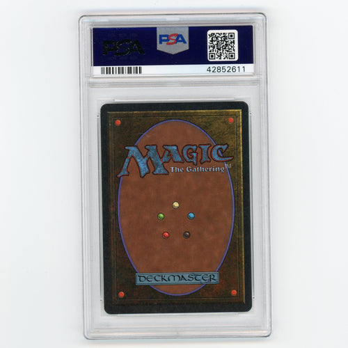 1993 Magic The Gathering Mark Poole Island Unlimited PSA Authentic Auto 10 (#MW8023)